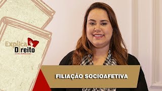 Explica Direito Filiação Socioafetiva  2019 [upl. by Brianna]