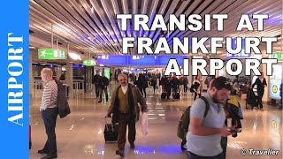 TRANSIT WALK AT FRANKFURT Airport FRA Terminal 1  Connection Flight Transfer Arriving amp Departing [upl. by Namlaz]